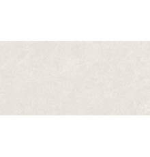 Керамогранит Argenta Bergstein Light Matt 60x120 Artech