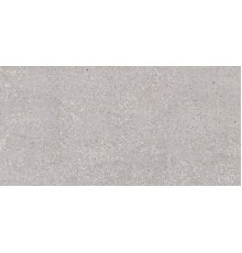 Керамогранит Argenta San vicente Natural Matt 60x120
