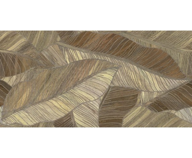 Керамическая плитка Argenta Studio Litter Decor 60x120