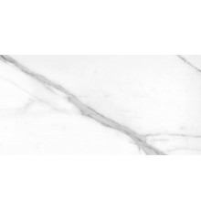 Керамогранит Argenta Tholos White 60x120