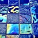Мозаика Bonaparte Bondi blue-48 48*48 298*298 (стекло) - миниатюра 1