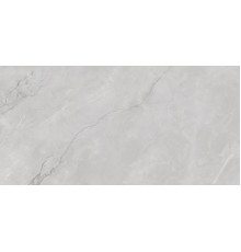 Керамогранит Infinity Ceramica Astonia Silver Glossy Golden Line 60x120