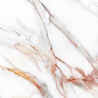 Керамический слэб StaroSlabs Beldia Bianco Elegance Polished 120x120