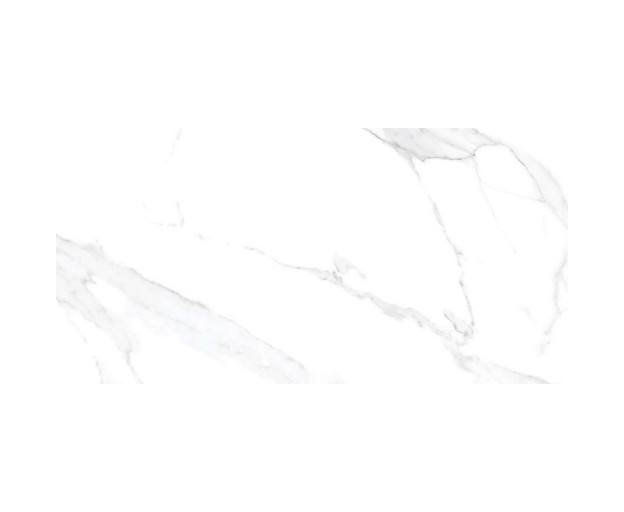 Керамогранит Belleza Orlando Bianco Carving 60х120 - изображение 7
