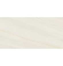 Керамогранит Caesar Anima Wonder Snow Liscio Matt 60x120