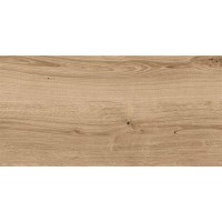 Керамогранит Cersanit Woodhouse темно-бежевый рельеф 16354 29,7x59,8