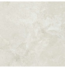 Керамогранит Dako Legend E-5000/MR 60x60