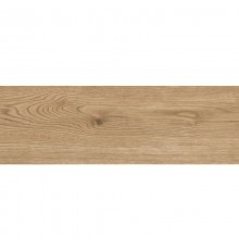 Керамогранит Lasselsberger Джордано рустик (6264-0119) 20х60
