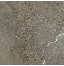 Керамогранит Lasselsberger Гроза бежево-коричневый (6461-0423) 60х60