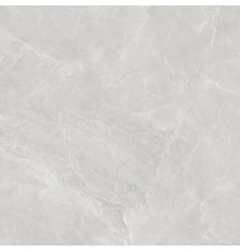 Керамогранит Lasselsberger Сумерки светло-серый (6461-0412) 60х60
