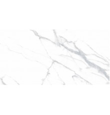 Керамогранит Ceradim Statuario Justice Grey матовый 60x120